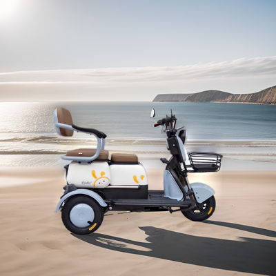 tricycle motorized cargo electric bicycle three wheel electric scooters bike electric tricycle for adults