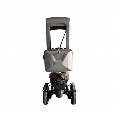 cheaper Racing Electric Motorcycle 3000W  OEM Motorcycle adult Electric tricycle